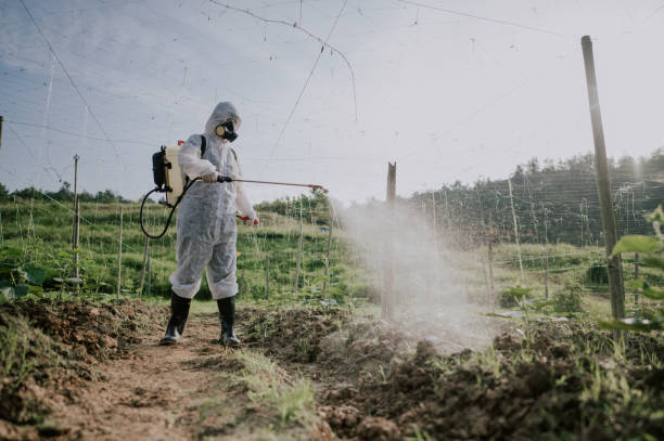 Best Commercial Pest Control Services  in Scarsdale, NY