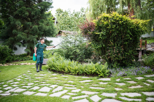 Best Flea Control Services  in Scarsdale, NY