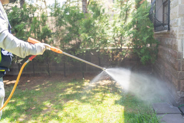 Spider Control Near Me in Scarsdale, NY