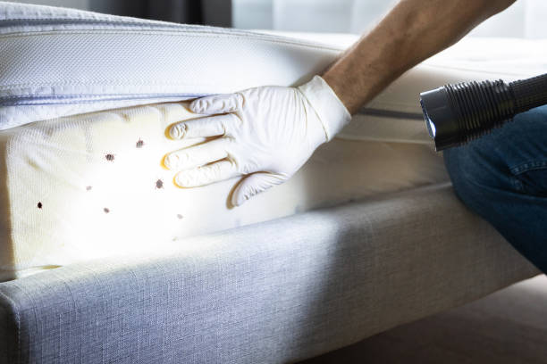 Best Commercial Pest Control Services  in Scarsdale, NY