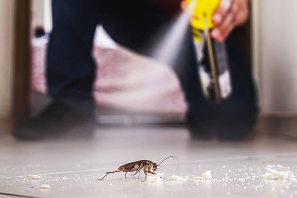 Pest Control Cost in Scarsdale, NY